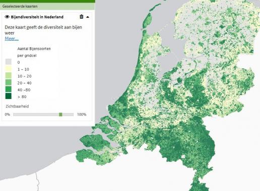 NB2017 Bijendiversiteit op kaart Kaartbeeld