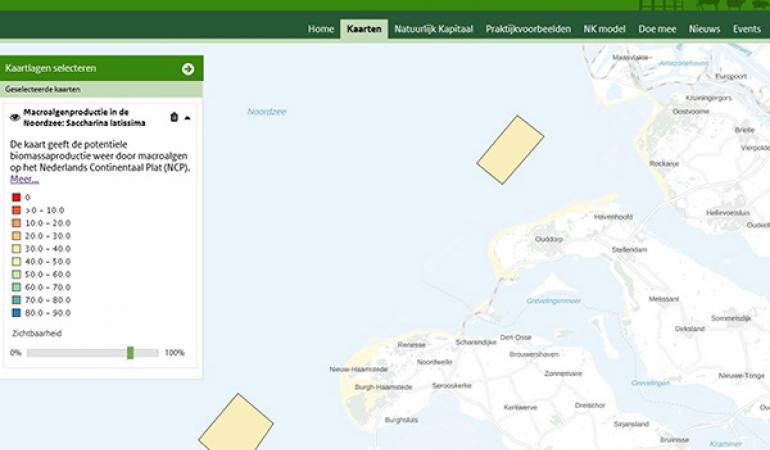 Kaart Potentiële biomassaproductie door macroalgen op het Nederlands Continentaal Plat (NCP) 