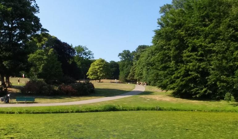 Groen park met blauwe lucht