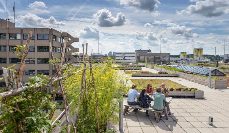 Mensen op dakterras in Amsterdam