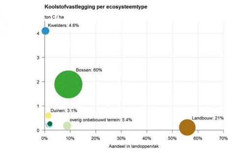 koolstofvastlegging_per_ecosysteem.jpg