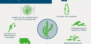 infographic WUR zeewier infographic WUR zeewier