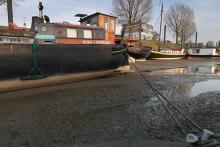 bootdroogANK