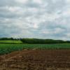 Agrarisch landschap in Nederland